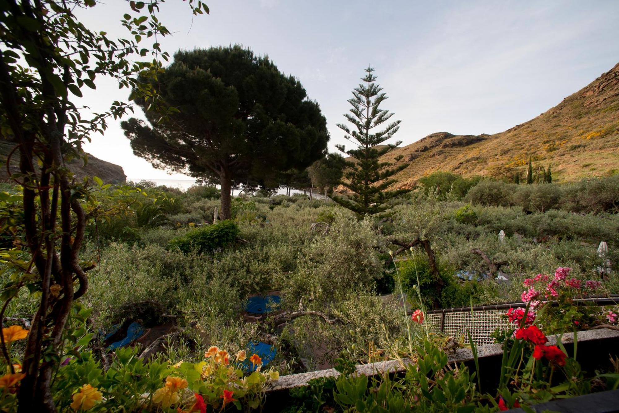Hotel Cala Joncols Roses Exterior foto
